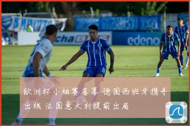 欧洲杯小组赛落幕 德国西班牙携手出线 法国意大利提前出局