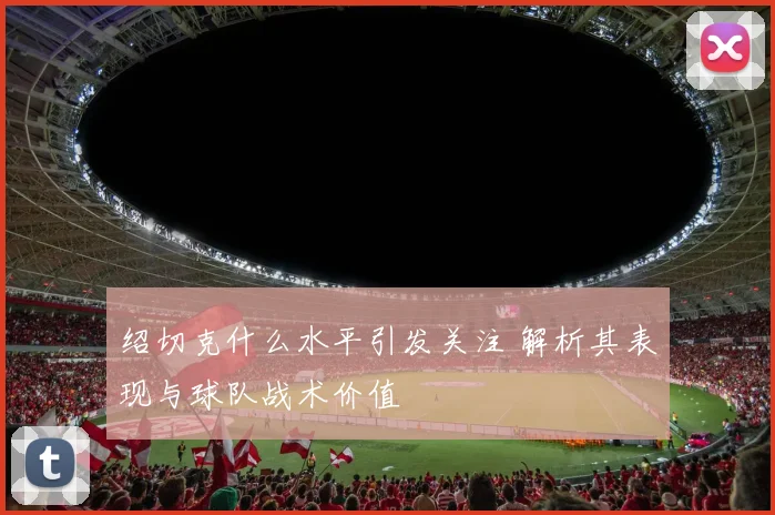 绍切克什么水平引发关注 解析其表现与球队战术价值
