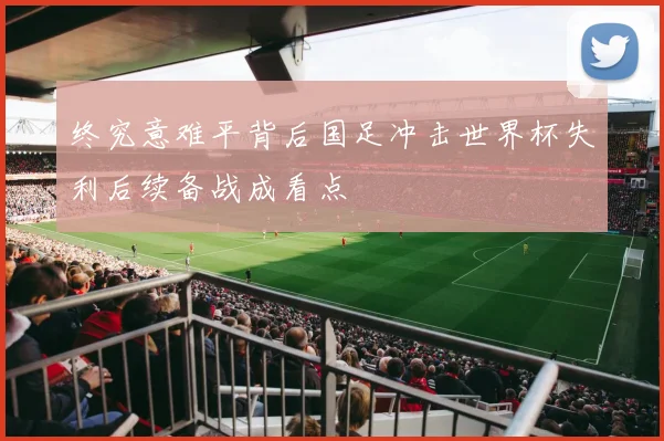 终究意难平背后国足冲击世界杯失利后续备战成看点