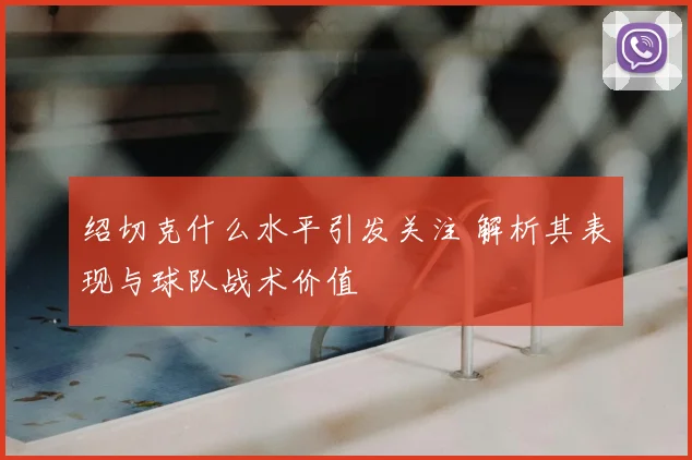 绍切克什么水平引发关注 解析其表现与球队战术价值